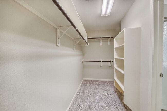 Building Photo - 24538 Evangeline Springs Ln