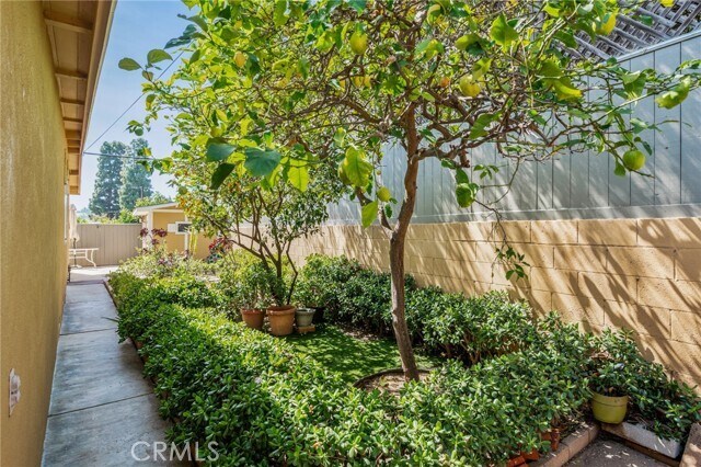 Building Photo - 1935 W 1st St