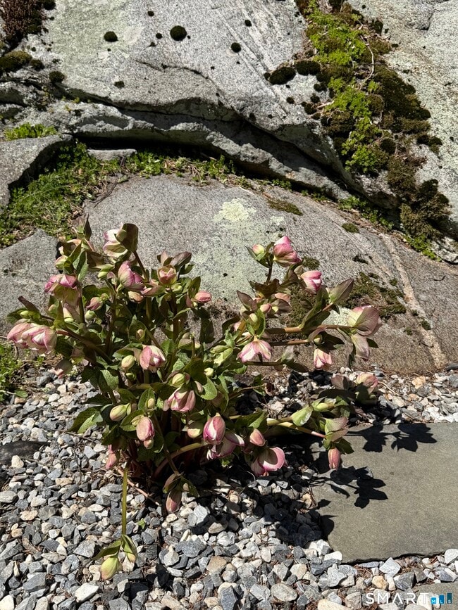 Building Photo - 509 Boston Post Rd