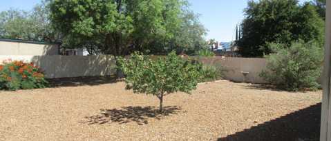 Building Photo - 3527 E Trevino Dr