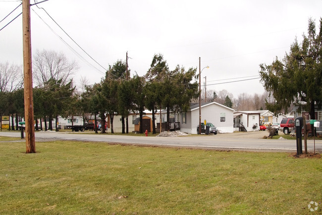 Primary Photo - Pine Manor