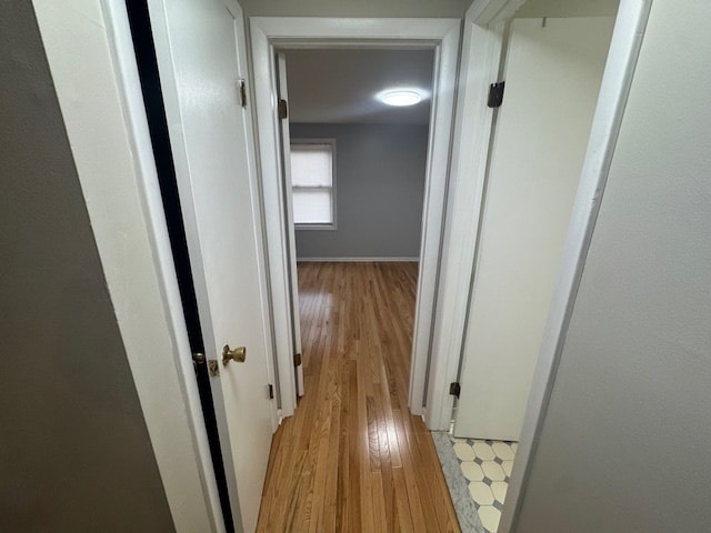 Building Photo - 26 Albertson Rd