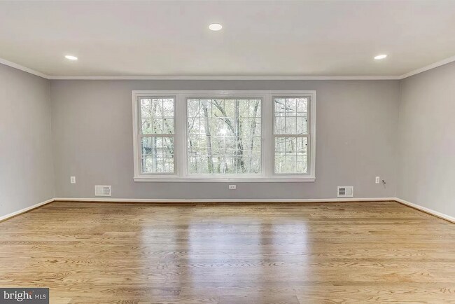 Living Room - 1420 Deerfield Ln