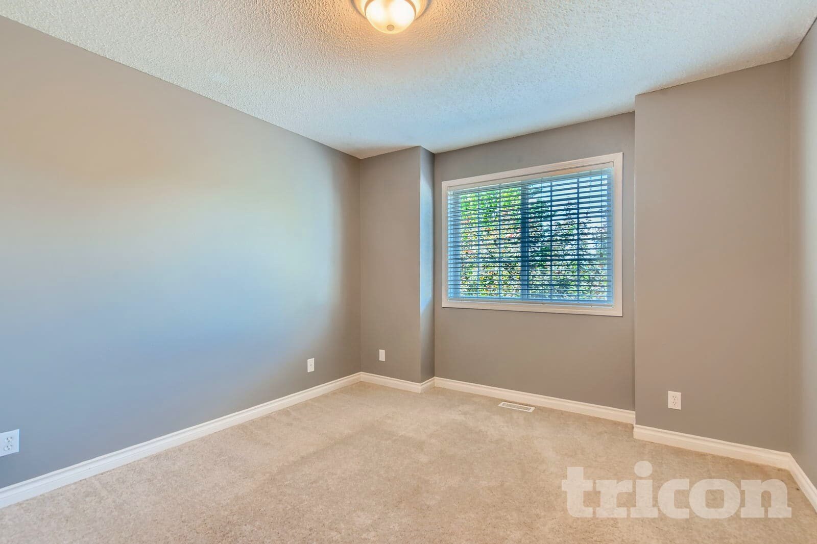 Building Photo - 2207 Raspberry Ct