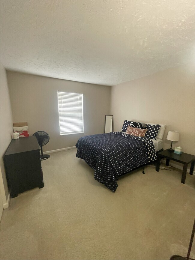 Building Photo - 108 Cathedral Ct