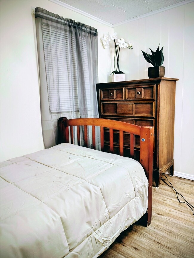 Building Photo - 31 Indiana St