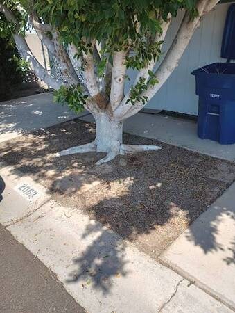 Building Photo - 2063 S Coyote Ave