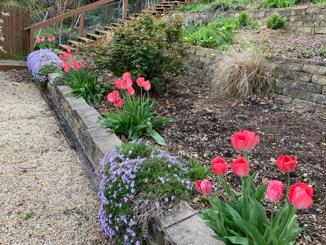 Building Photo - 120 Troy Rd