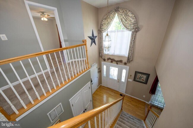 Building Photo - 740 Hickory Limb Cir