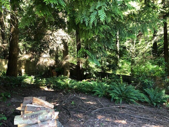 Building Photo - Beautiful 3 Bedroom 2 Bath Home in Mukilteo!
