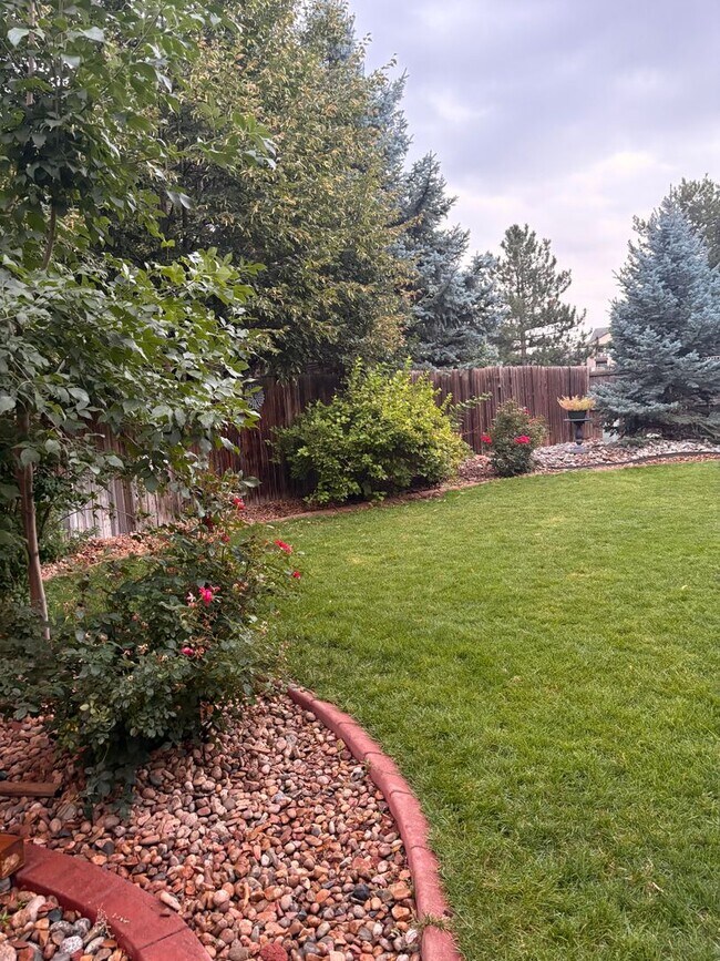 Building Photo - Beautiful Single Family Living In South Su...