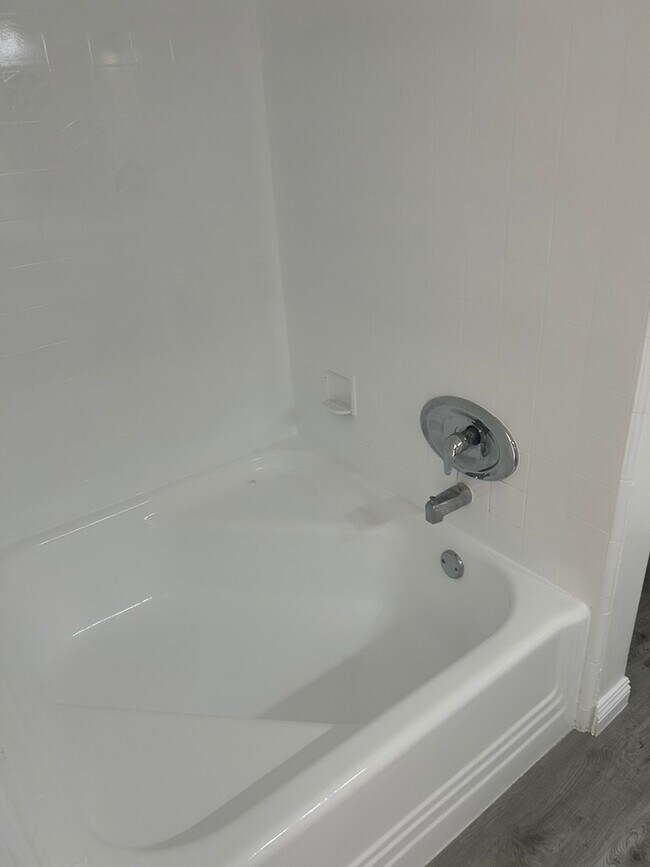 Bathtub - 1841 N Fuller Ave
