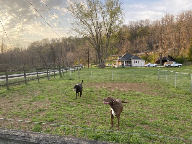 Dog park at Riverside - Campus Apartments East