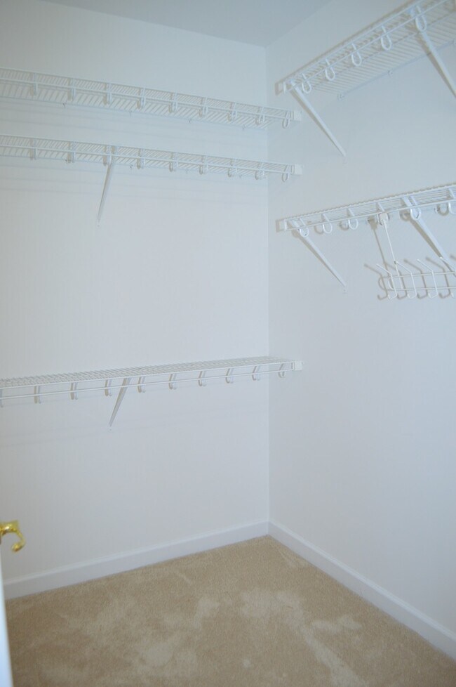 Building Photo - 210 Baines Ct