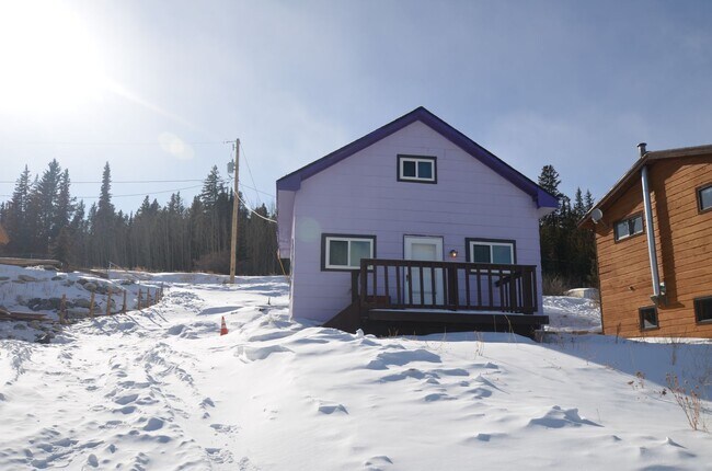 Building Photo - 20 Minutes to Breckenridge! Wood burning f...