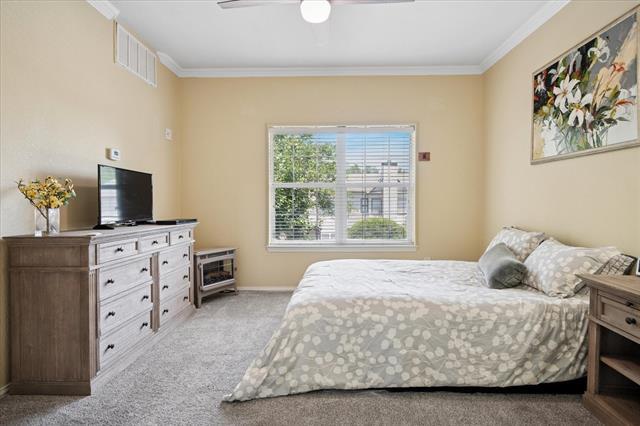 Building Photo - 2429 Southcourt Cir