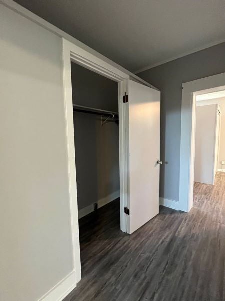 Building Photo - Charming 3 bed/2 bath, plus bonus, close to downtown and campus