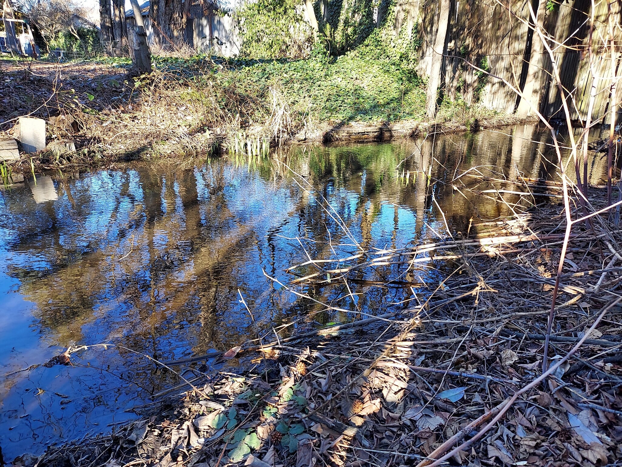 Creek - 209 Harrison St