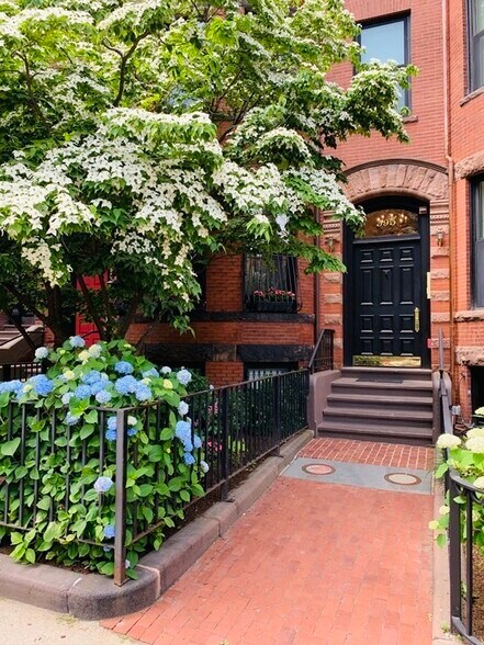Building Photo - 392 Marlborough St