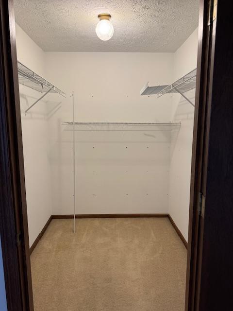 Building Photo - 5303 Johnnycake Ridge NE