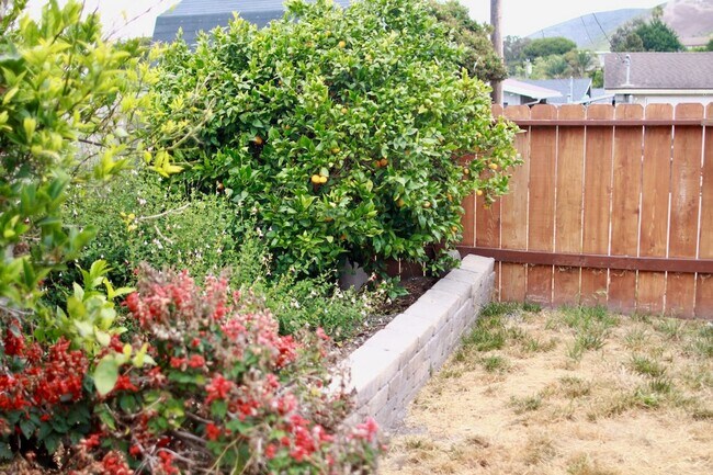 Building Photo - Charming 3-Bedroom Home with Fireplace & Private Yard – South B St, Lompoc