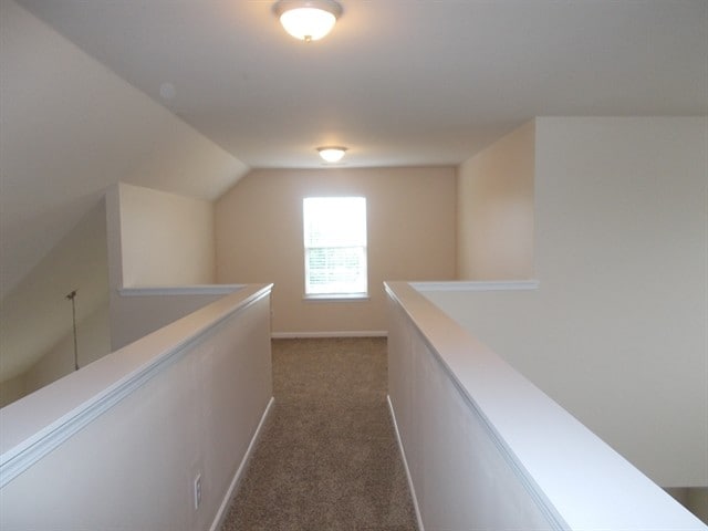 Building Photo - 1113 Carissa Ct