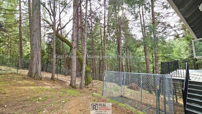 Building Photo - Private Wooded Retreat on 2 Acres – 4BR 2Bath Home with Space for Animals, Fruit Trees & Seasonal...