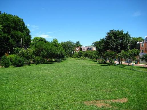 House backs up to Crispus Attucks Park - 17 U St NW