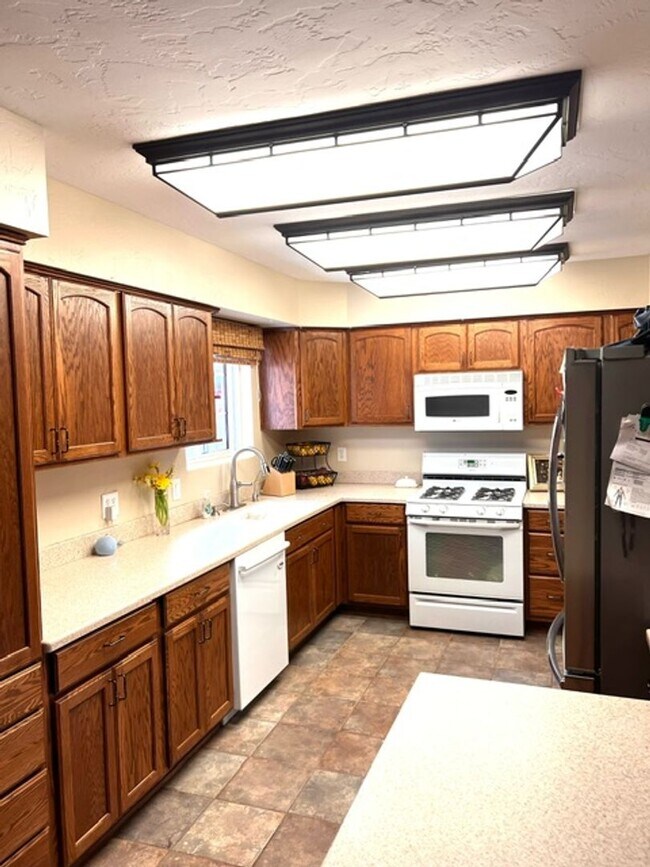 Building Photo - SAN CARLOS BEAUTY!