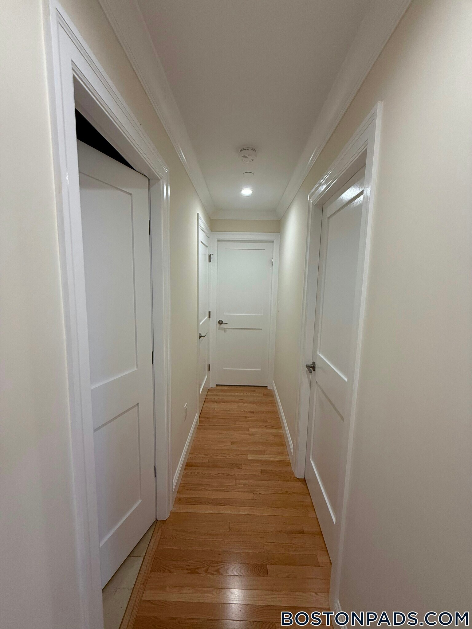Building Photo - 1443 Beacon St