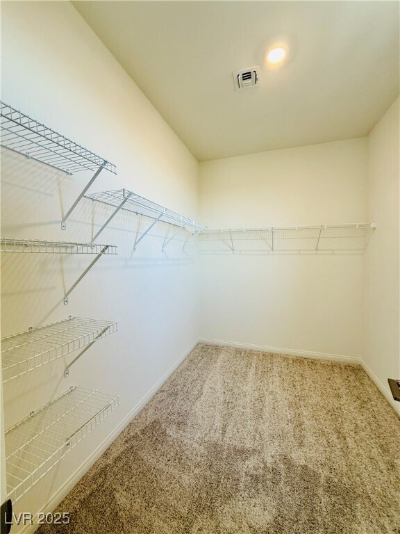 Building Photo - 1544 Little Penguin St