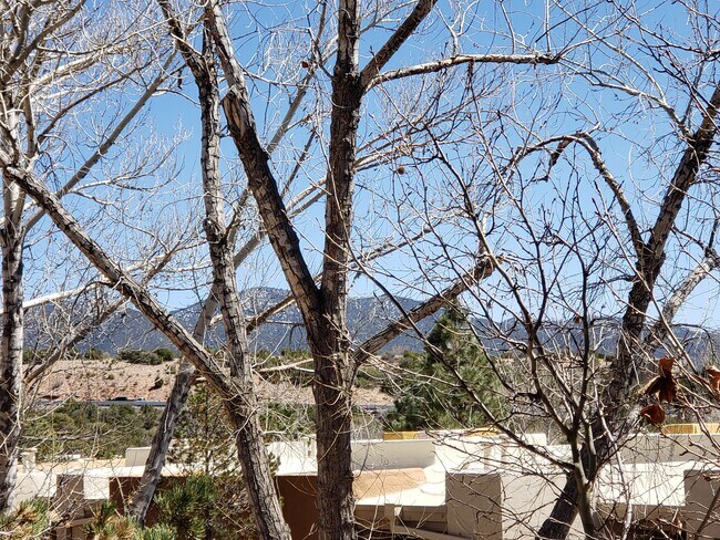 Building Photo - 941 Calle Mejia