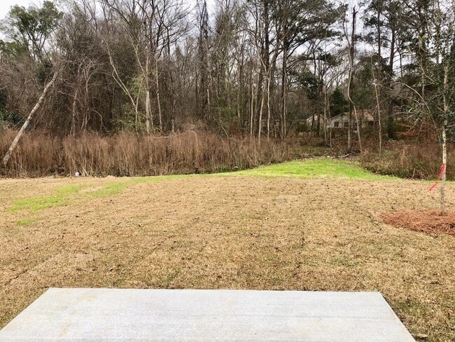 Building Photo - 3 Bedroom 2 Bath House in Lakes of Summerv...