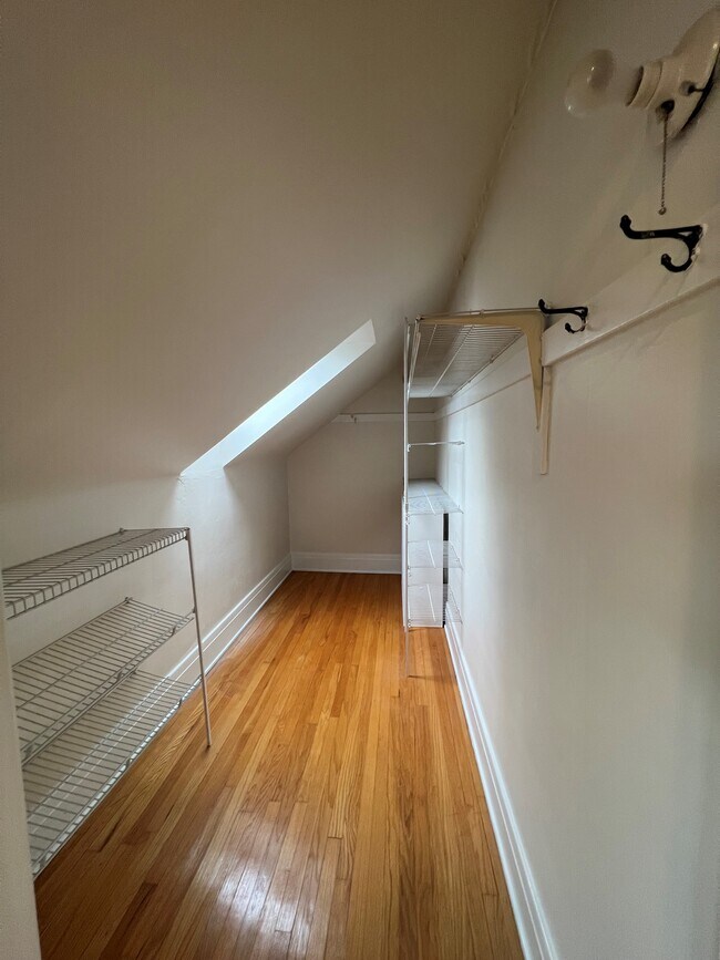Master Bedroom Walk-in Closet with Skylight - 61 Hirschfield Dr