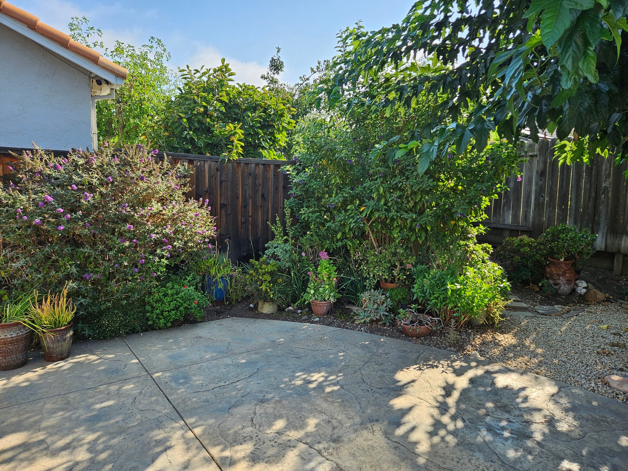 Backyard - 328 Burning Tree Dr