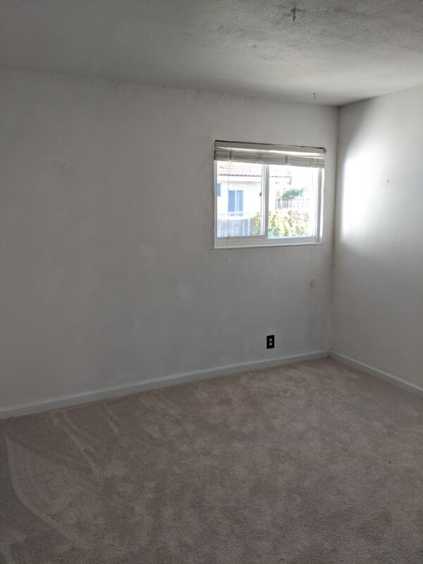 Building Photo - 2654 Olivestone Way
