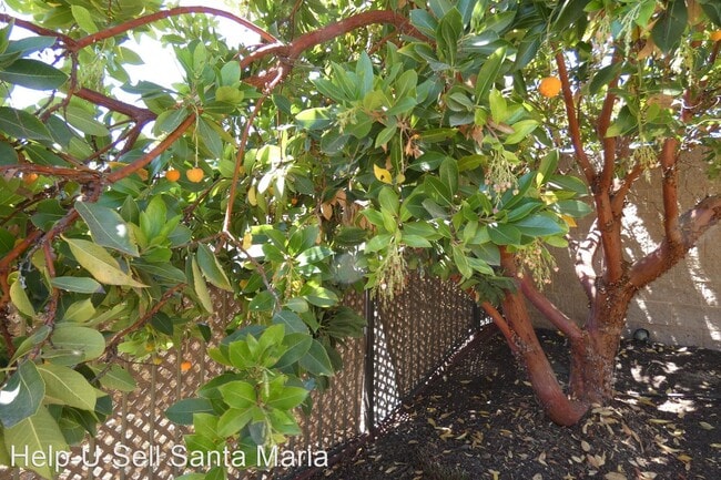 Building Photo - 2 br, 2 bath House - Trilogy at Monach Dunes