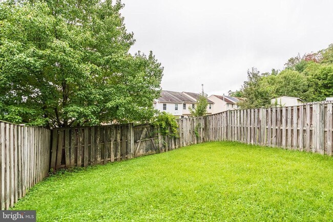 Building Photo - 3348 Raccoon Ct