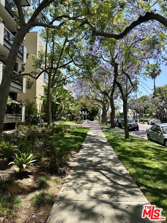 Building Photo - 324 N Palm Dr