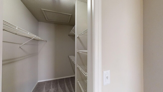 Walk In Closet - Safire at Matthews