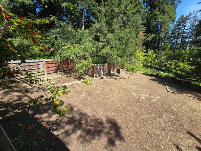 Building Photo - Large and stunning home in rural Sebastopol!