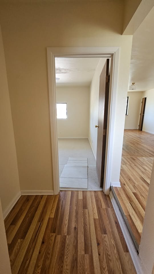 Building Photo - 37 Newland Ct