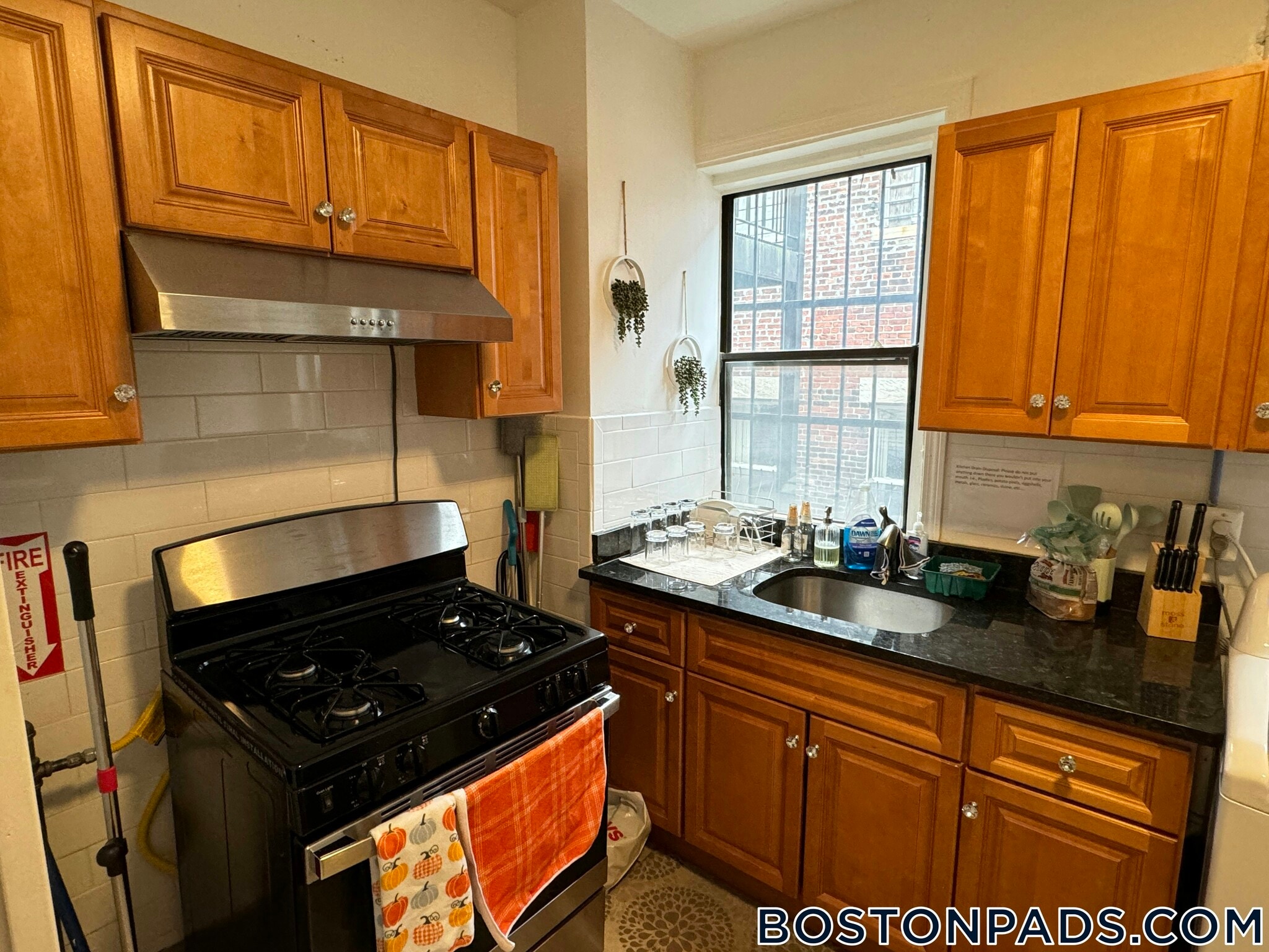 Building Photo - 871 Harrison Ave