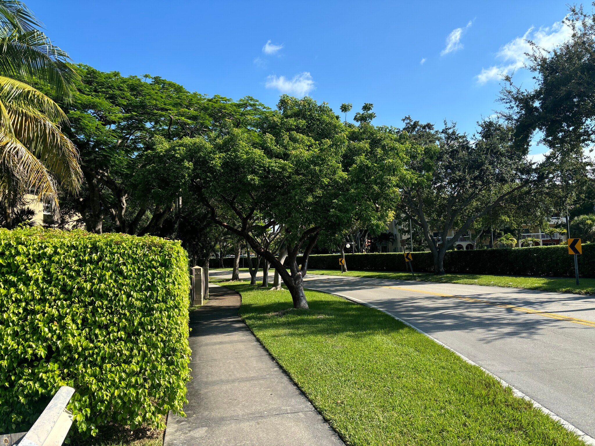 Building Photo - 7900 Camino Cir