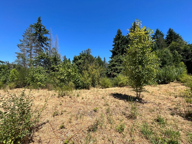 Building Photo - Beautiful 4Bd + 2Ba With Gorgeous Green Vi...
