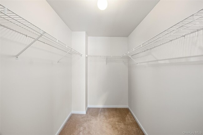 Building Photo - 1005 Constance Ln