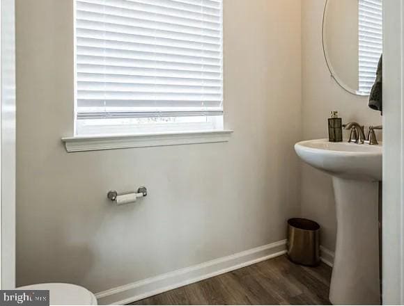 Building Photo - 8328 Alexander Ct