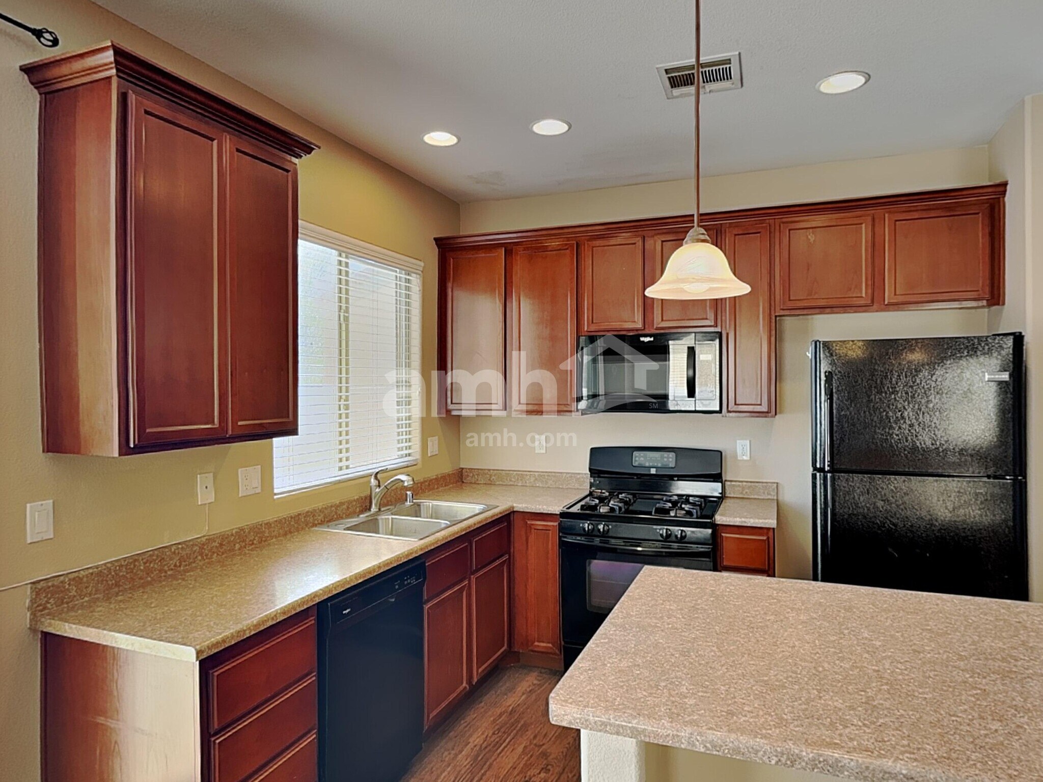 Building Photo - 5516 Stelle Amore St