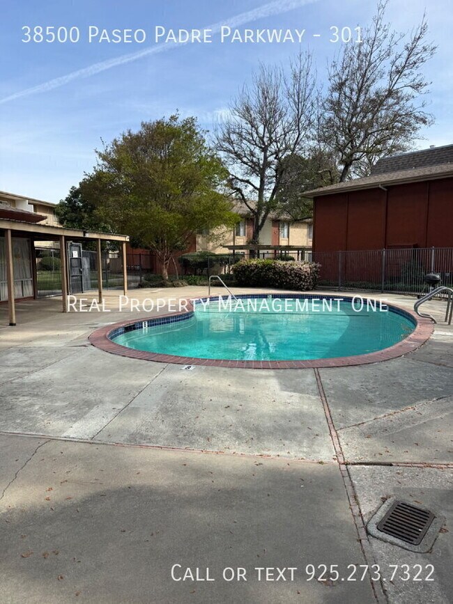 Building Photo - 38500 Paseo Padre Pkwy