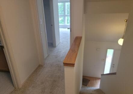Building Photo - 905 Wildt St